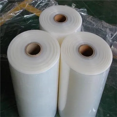 Eu €7.5 Million To Fund Biodegradable Plastics Recycling Technology Project